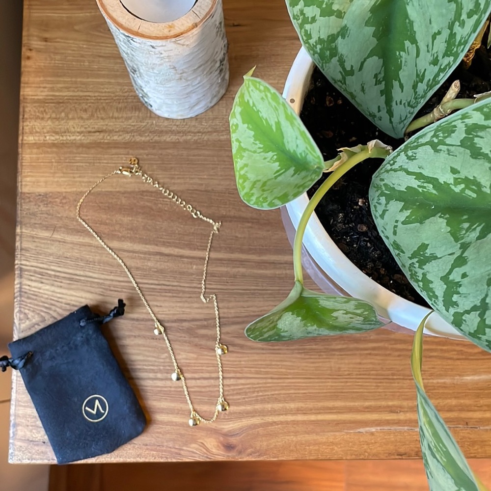 Mejuri Dot Necklace